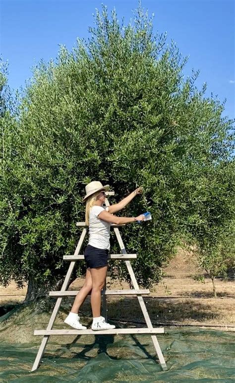 Huertos Urbanos Alquila Y Cultiva En Huerto