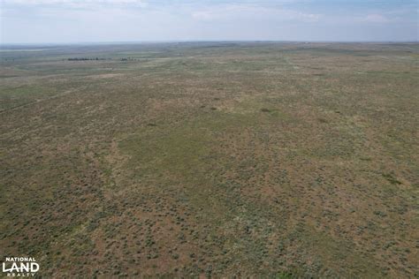 Grassy Knowles In Beaver County Oklahoma Photos National