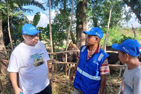 Human Initiative Berdayakan Peternak Lokal Pasok Sebar Hewan Qurban