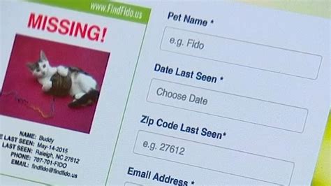 Scammers Target Pet Owners Looking For Lost Animals On Social Media