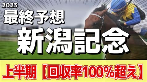 【新潟記念2023】夏競馬を締めくくる一戦！サリエラ、ノッキングポイントが人気だが本命はあの馬に――！ 競馬動画まとめ