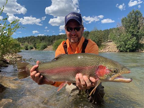 Bank Fishing For Trout Near Me Flyfishing Catch Lake - fishing tips ontario