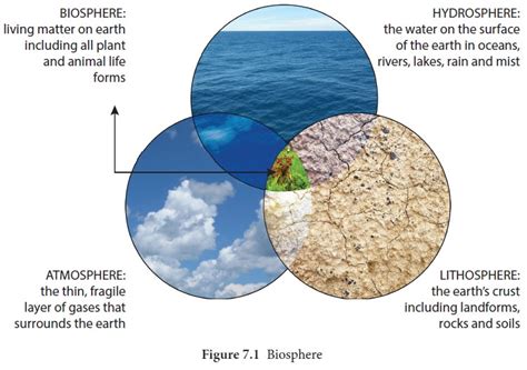 The Biosphere - Introduction | Geography