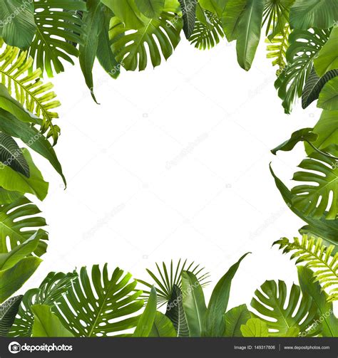 Background: jungle leaves image | Tropical Jungle Leaves Background ...