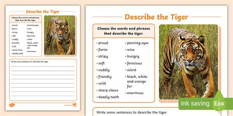 Describe The Tiger Writing Activity Sheettigers Twinkl