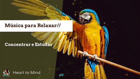 Música para Relaxar Concentrar Descontrair Meditar Estudar