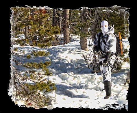 Winter Camouflage Storm Shadow With Bow At The Ready Photo By