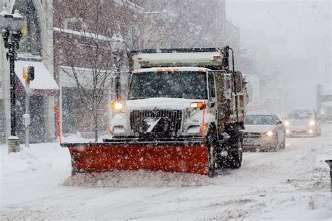 Animals and Ecosystems in Danger As ‘Once In A Generation’ Arctic Blast Sweeps Across the US ...