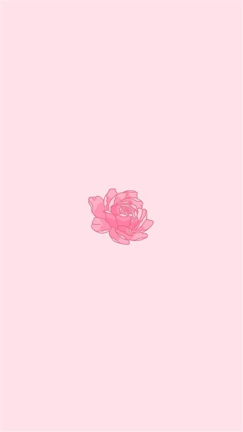 Pin By Ceekayy🦋 On Flowers 🌸 In 2024 Pink Flowers Wallpaper Flower Phone Wallpaper Iphone