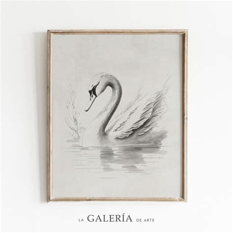 Swan Sketch Print Bird Drawing Nursery Wall Art Print - Etsy