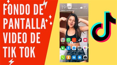 Como Colocar Un Video De Tik Tok Como Fondo De Pantalla Youtube