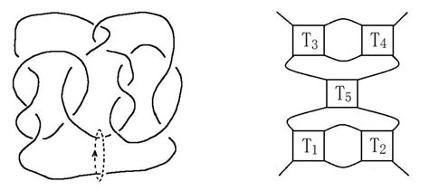 Left The Conway Knot C A Loop In Its Complement Is Chosen Right