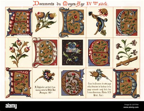 Illuminated Manuscript Letters D Juventu Dugtleon