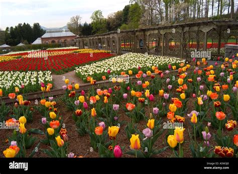 Spring biltmore estate hi-res stock photography and images - Alamy