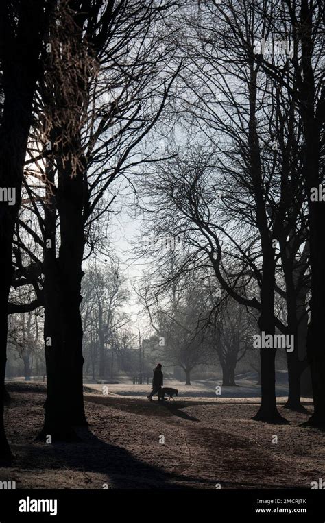 Bourne, Lincolnshire, 22nd Jan 2023. UK Weather: Dog walkers in the frosty Wellhead gardens on a ...