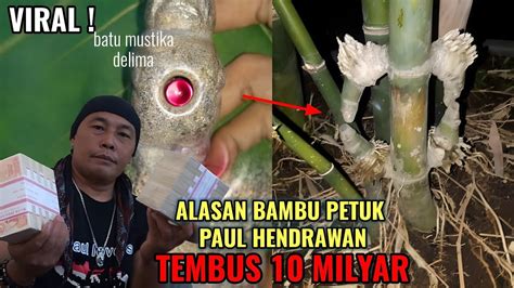 FAKTA BAMBU PETUK ASLI PAUL HENDRAWAN ADA ISI BATU MUSTIKA DELIMA YouTube