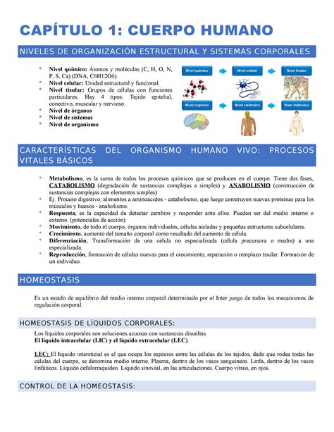 Resumen CAPÍTULO 1 CUERPO HUMANO NIVELES DE ORGANIZACIÓN ESTRUCTURAL