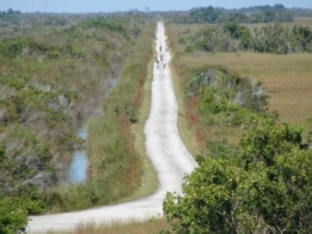 Shark Valley Trail, Everglades, FL Top 10 Biking. E-Z Map. 40+ Photos ...