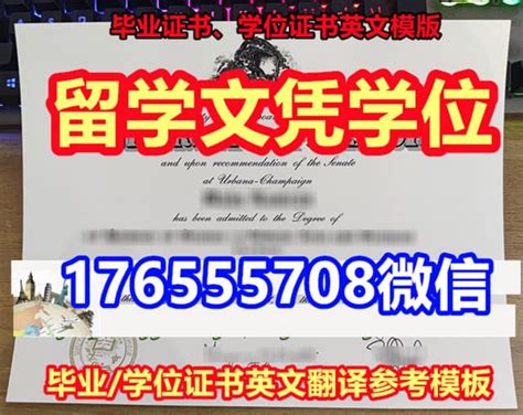 原版制作南澳大学毕业证录取书成绩单ps Ppt