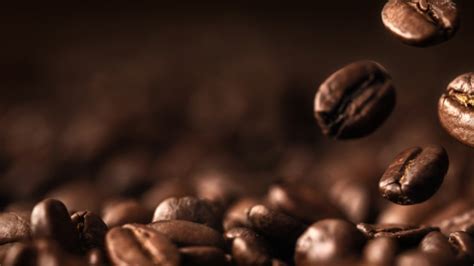 Premier American Coffee Roasters are Sourcing the World's Best Beans