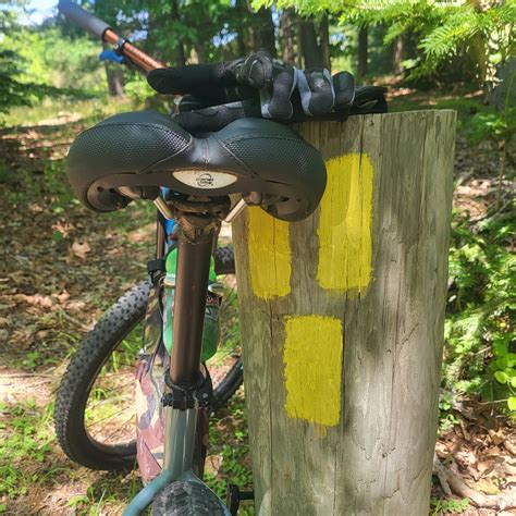 A.R.S. Standard Bike Seat | Planet Bike