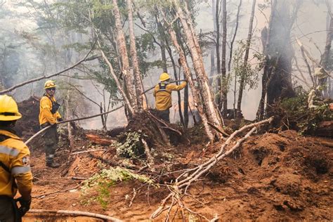 El Incendio Contin A Activo Y Siguen Las Tareas Diferenciadas