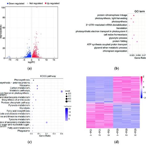 Analysis Of Protein Protein Interaction Network A Protein Protein