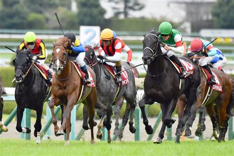 【ボッケリーニ】京都大賞典 1番人気だったが、惜しくも2着！ 競馬ファンのこえ