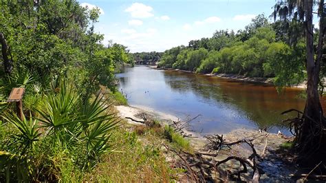 Anhinga Trail, Everglades National Park – Florida Hikes