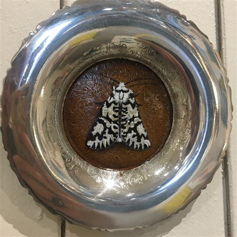 North Island Lichen Moth - Original Painting - The Cool Store Gallery