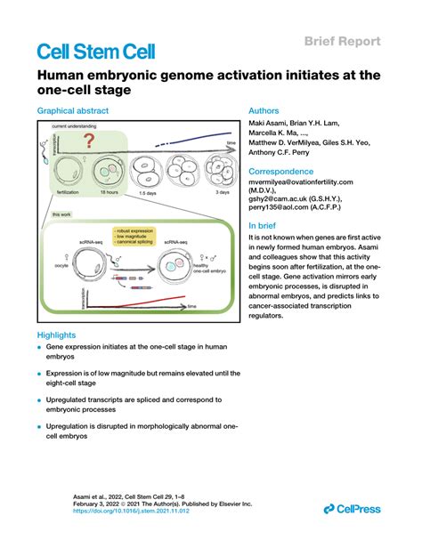 Pdf Human Embryonic Genome Activation Initiates At The One Cell Stage