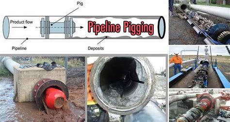 Everything You Need To Know Pipeline Pigging