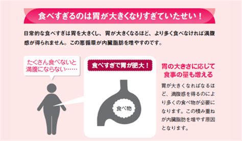 食べ過ぎの一番の原因！胃の大きさを元に戻せば 内臓脂肪は確実に落ちる！【図解 内臓脂肪がごっそり落ちる食事術】 ラブすぽ