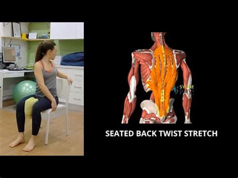 seated  twist stretch sydney health physiotherapy