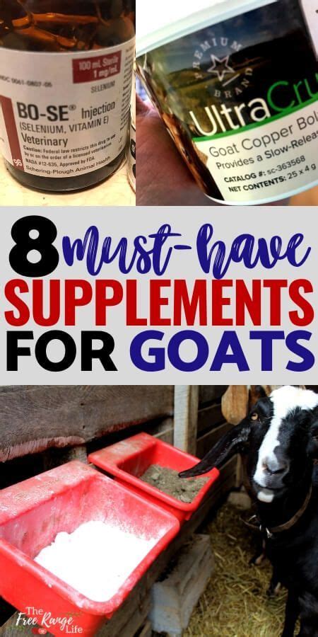 8 Must Have Nutritional Supplements For Goats For The Healthiest Herd