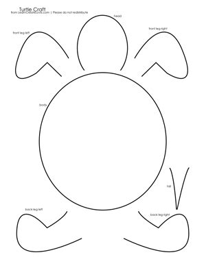 Turtle Template Printable Doctemplates