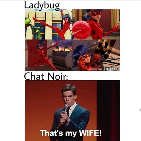 Miraculous Ladybug And Cat Noir Memes