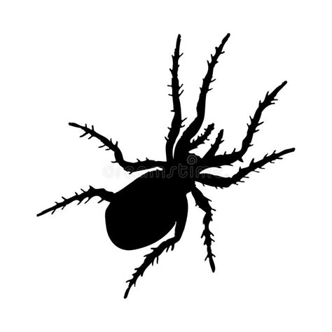 Spider Silhouette Stock Vector Illustration Of Element 264352405