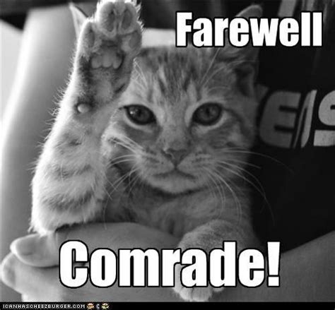 Farewell Comrade Silly Cats Funny Cat Memes Kittens And Puppies