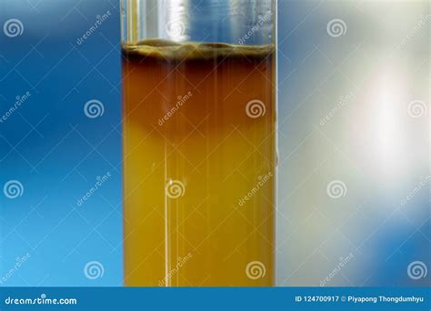 Column Chromatography Chemistry in Lab. Stock Image - Image of ...