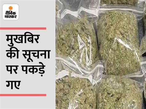 Police Recovered 10 Kg Of Ganja From The Accused Moped And Mobile Also Seized गांजा की तस्करी