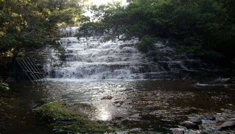 8 Best Waterfalls Near Kodaikanal That Every Traveler Must Visit In 2025