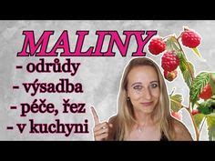 CO POTŘEBUJE LIBEČEK? - Zahrádkářův rok, 2024