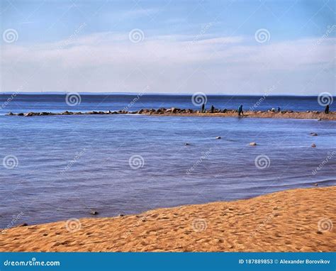 Gulf of Finland - beach stock illustration. Illustration of ...