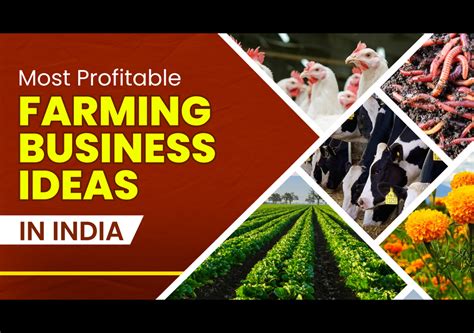 Most Profitable Farming Business Ideas In India Bharatagri Gyan