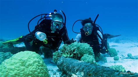 Diving Cocos Keeling Islands Cannons Dive Site