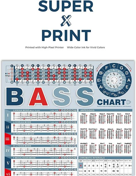 Bass Note Chart of Scale Chords | Bass Reference Poster (OPEN BOX NEW ...