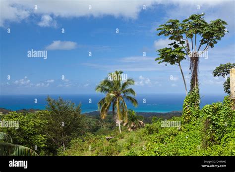 Dominican Republic Landscape Hi Res Stock Photography And Images Alamy