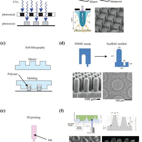 Microfabrication Techniques In Bioengineered Intestinal Models A B