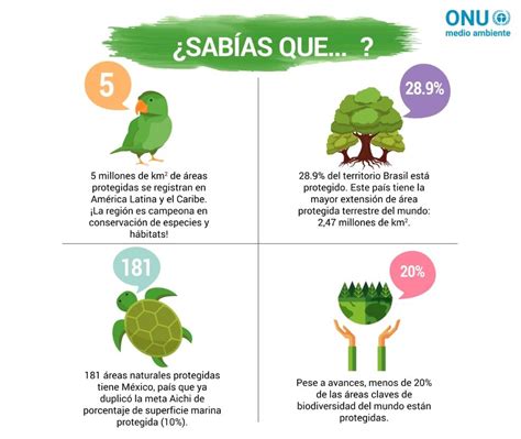 Datos Curiosos Sobre El Medio Ambiente 25 Datos Para El Día Mundial Del Medio Ambiente Expoknews